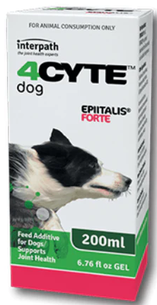 4CYTE EPIITALIS FORTE GEL