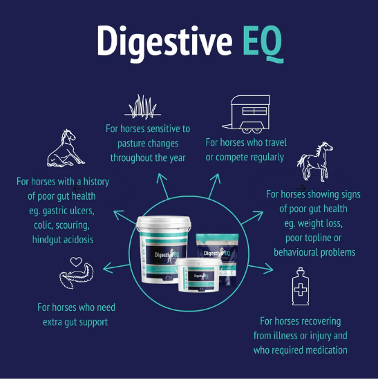 DIGESTIVE EQ POSEIDON