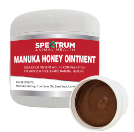 Manuka Honey Ointment 100gm