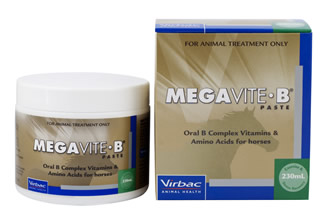 MEGAVITE B 230ML