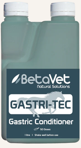 BETAVET GASTRITEC 2L