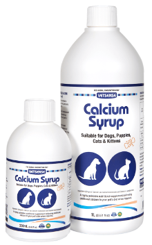 Vetsense Calcium Syrup