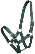 GYMKHANA FOAL HALTER