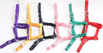 HALTER EUREKA